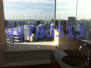 Ardmore II (D10), Condominium #41474402